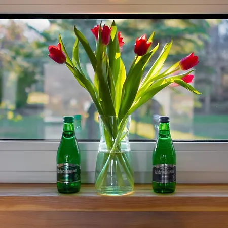 W Gorach 4 Seasons - A