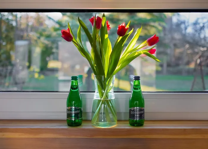 Domek A - Domki W Gorach Z Prywatnym Spa - 4 Seasons Lodges Ustron